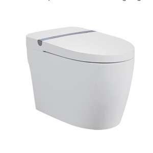 sc8113 intelligentize one piece closet