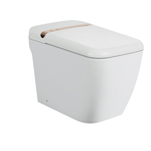 sc8114 intelligentize one piece closet
