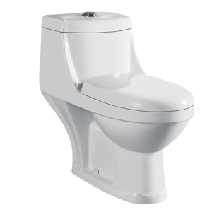 sc8121 washdown one piece closet