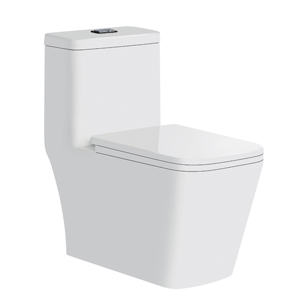 sc8133 double hole eddy one piece closet